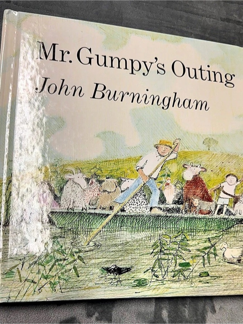 Henry Holt and Company Mr. Gumpy's Outing Children's Book